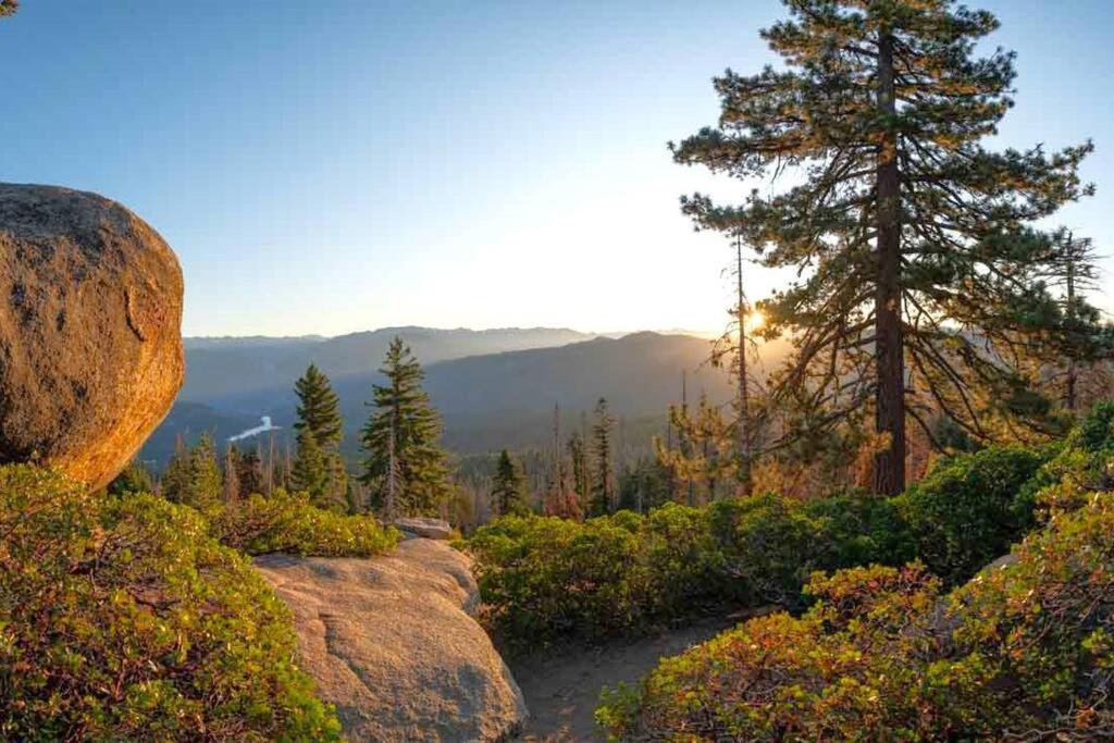 Sequoia Splendor, Inside Kings Canyon Np By Visitors Center Wilsonia Ngoại thất bức ảnh