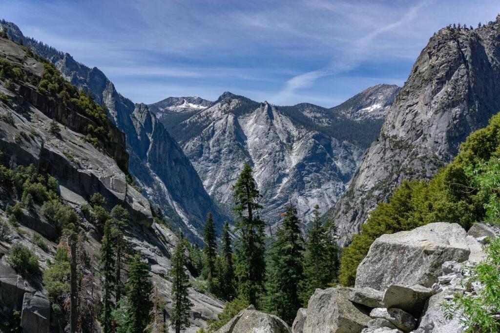 Sequoia Splendor, Inside Kings Canyon Np By Visitors Center Wilsonia Ngoại thất bức ảnh