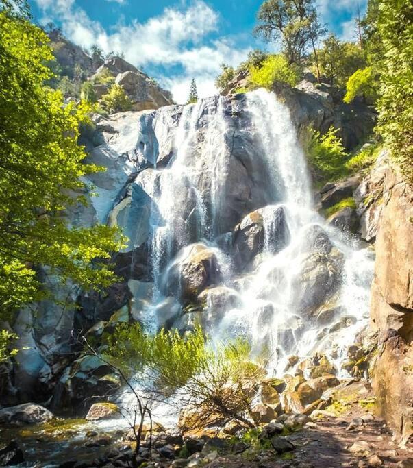 Sequoia Splendor, Inside Kings Canyon Np By Visitors Center Wilsonia Ngoại thất bức ảnh