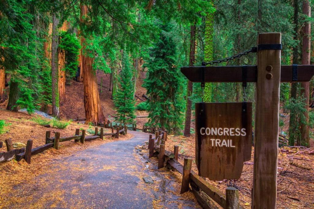 Sequoia Splendor, Inside Kings Canyon Np By Visitors Center Wilsonia Ngoại thất bức ảnh